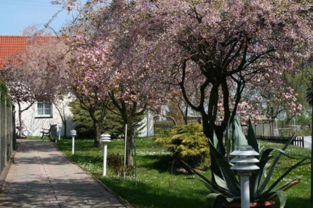 Familienhotel Zur Linde Panschwitz-Kuckau Exterior photo